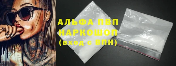 СК Бородино