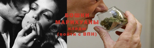 СК Бородино