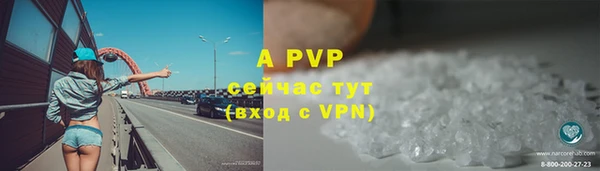 СК Бородино