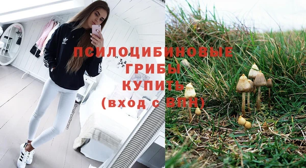 СК Бородино