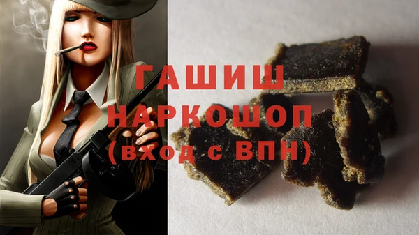 СК Бородино